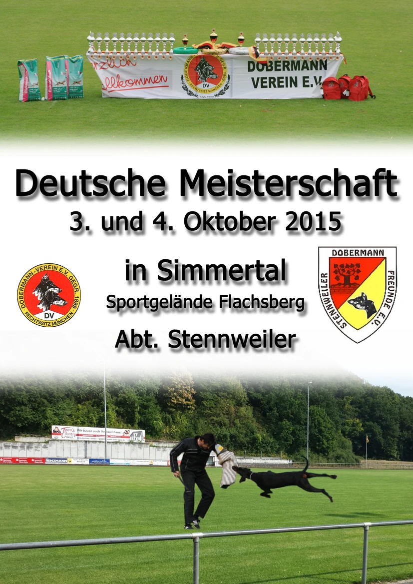 DM2015